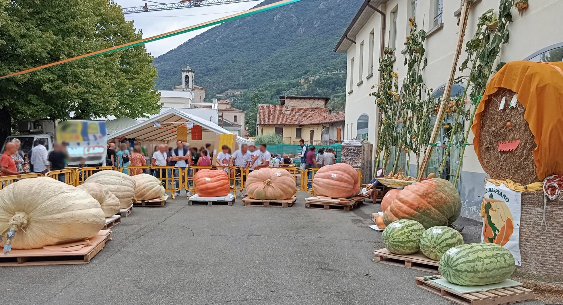 Immagine dell'evento Immagine raffigurativa dell'evento